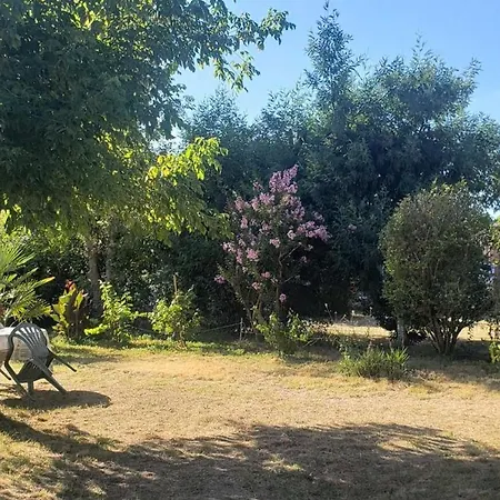 125-naujac Sur - 125 - Maison De A 6 Min De La Du Pin Sec Mae-9891 Villa