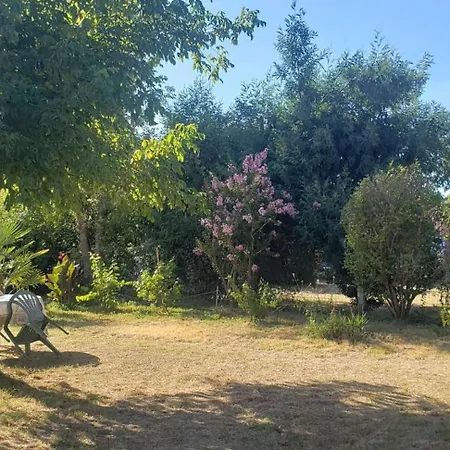 Résidence 125-naujac Sur - 125 - Maison De à 6 Min De La Du Pin Sec Mae-9891 * Naujac-sur-Mer